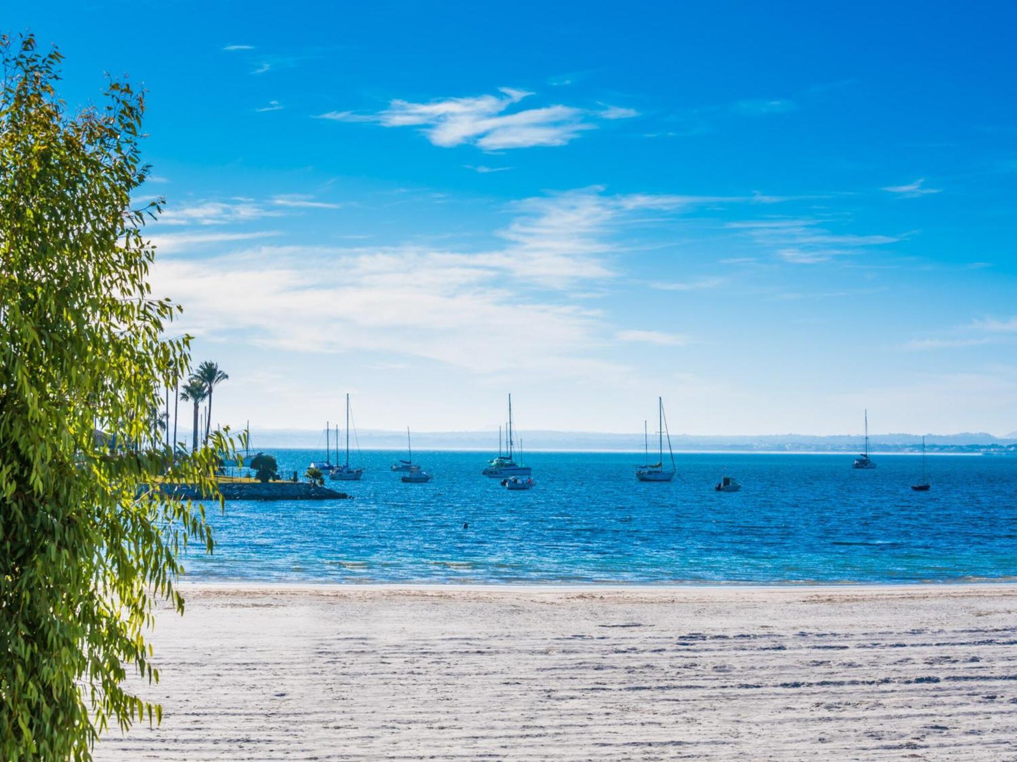 Pet-friendly Near Vakantiehuis