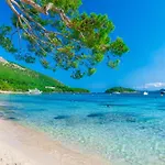 Apartment, Near Alcudia Beach