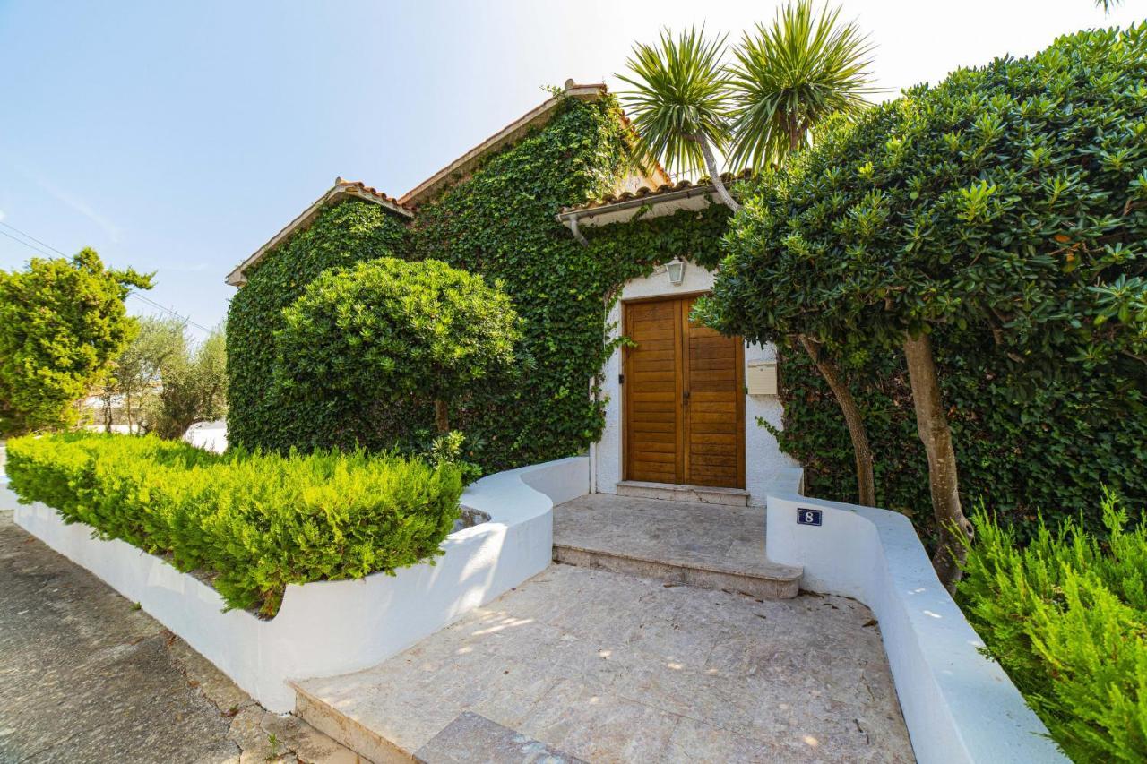 President Villa Alcudia (Mallorca)