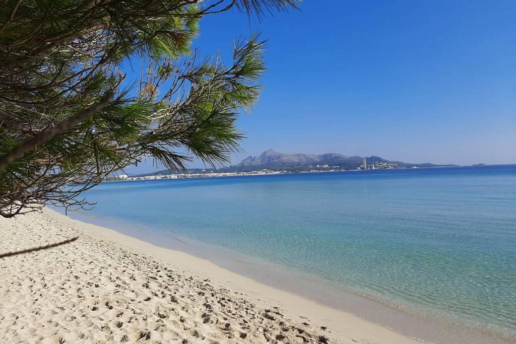 Francesca With Pool In Playa De Alcudia (Mallorca)