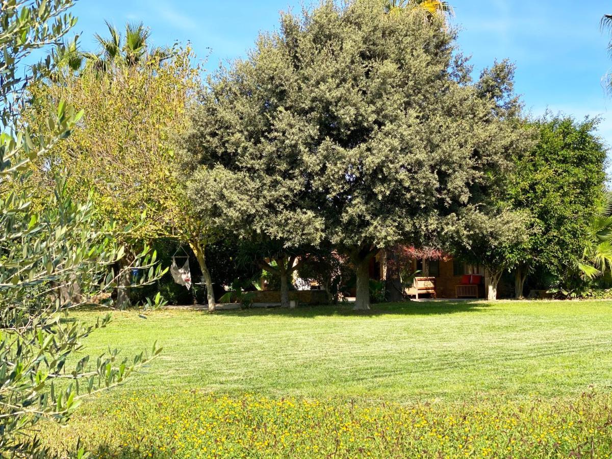 Sa Maiola-swimming Pool-5min From Centre Vakantiehuis *