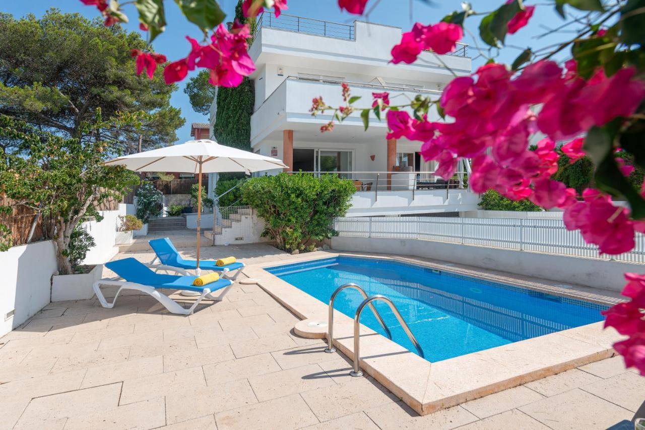 Pousada Violeta For 8 With Swimming Pool And Views *