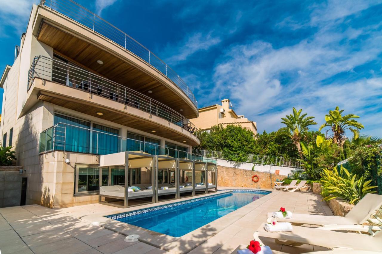Ideal Mallorca - Sammy * Alcudia (Mallorca)