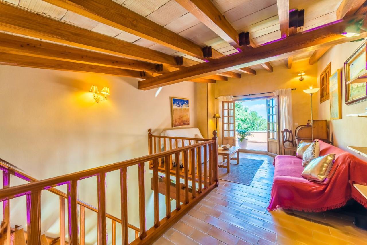 Ideal Mallorca - Patufa Alcudia (Mallorca)