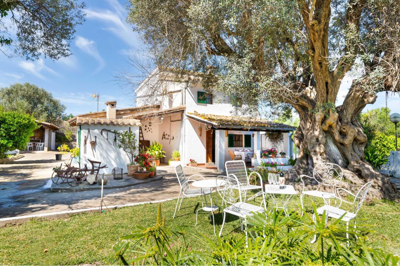 Finca Sa Llegua * Alcúdia