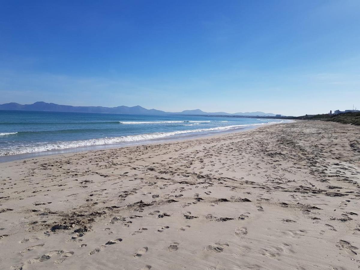 Ideal Mallorca - Silver Apartment Alcudia (Mallorca)