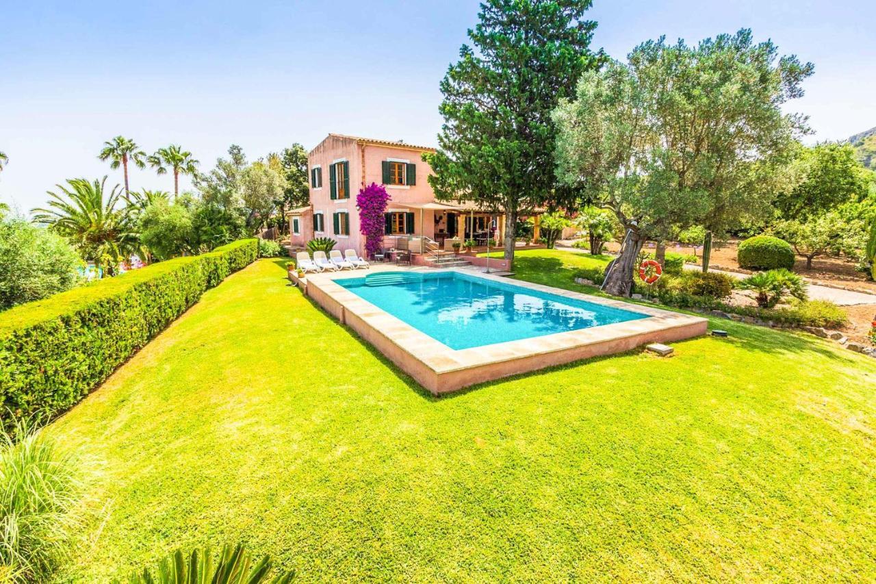 Alzina Villa Alcúdia