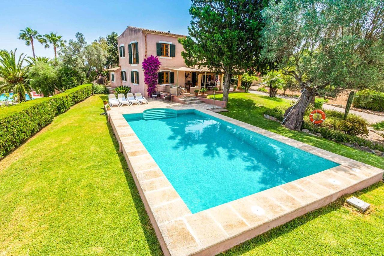 Alzina Villa Alcúdia