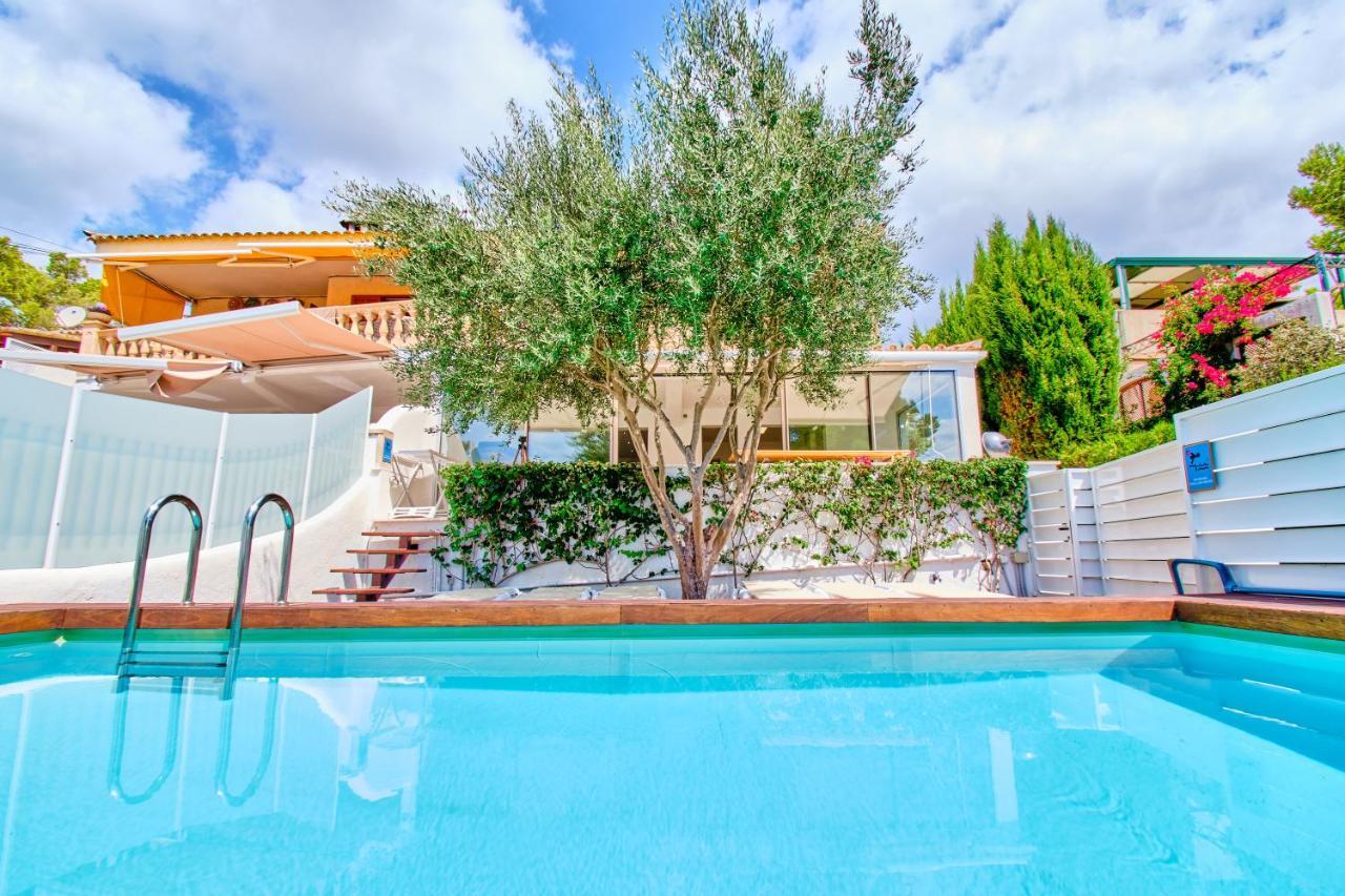 Sea Dreams Appartement *