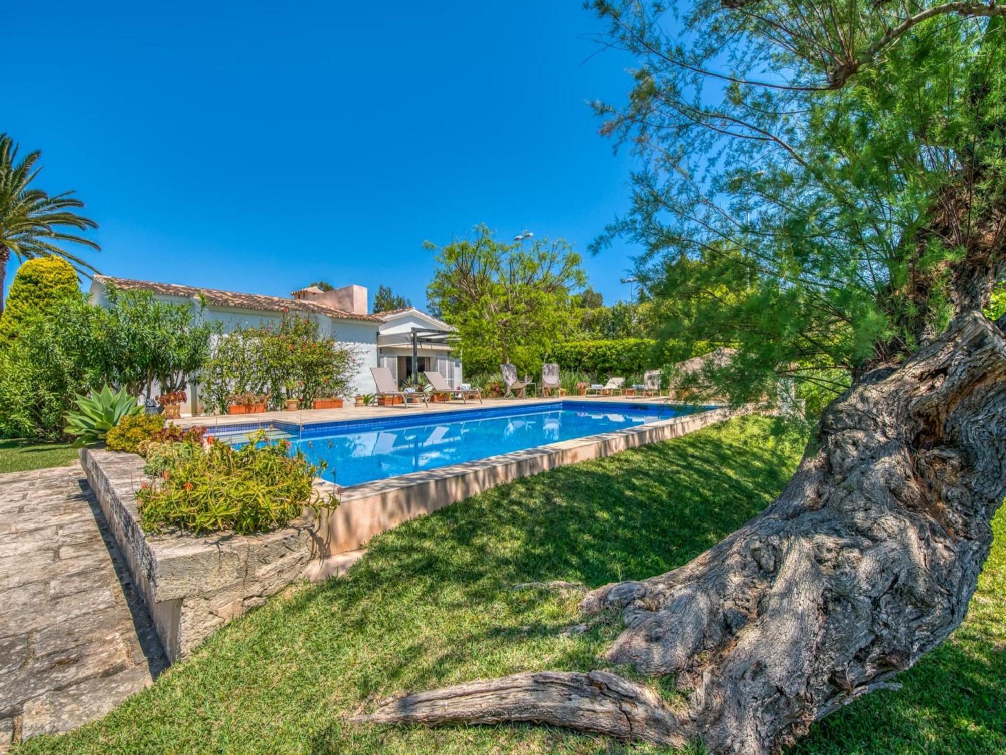 Home, 250 M From Vakantiehuis *