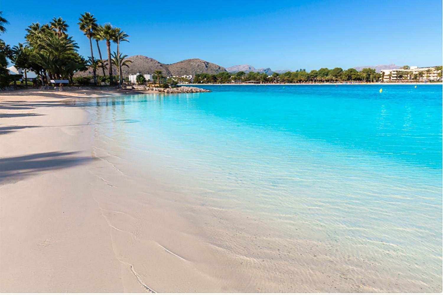 The Shell Ll New At The Beach, With Sea Views And Swimming Pool Apartment Alcúdia