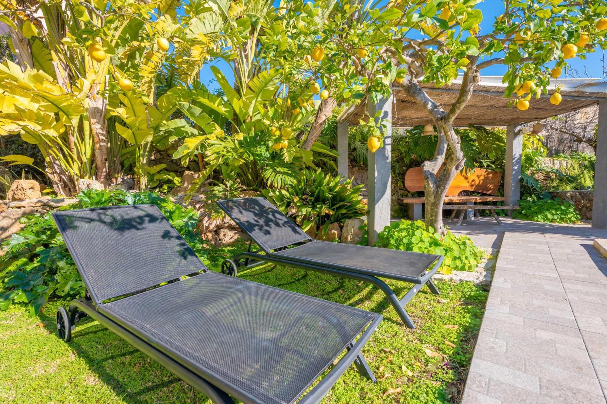 Villa Tito Y Yaya Alcudia (Mallorca)