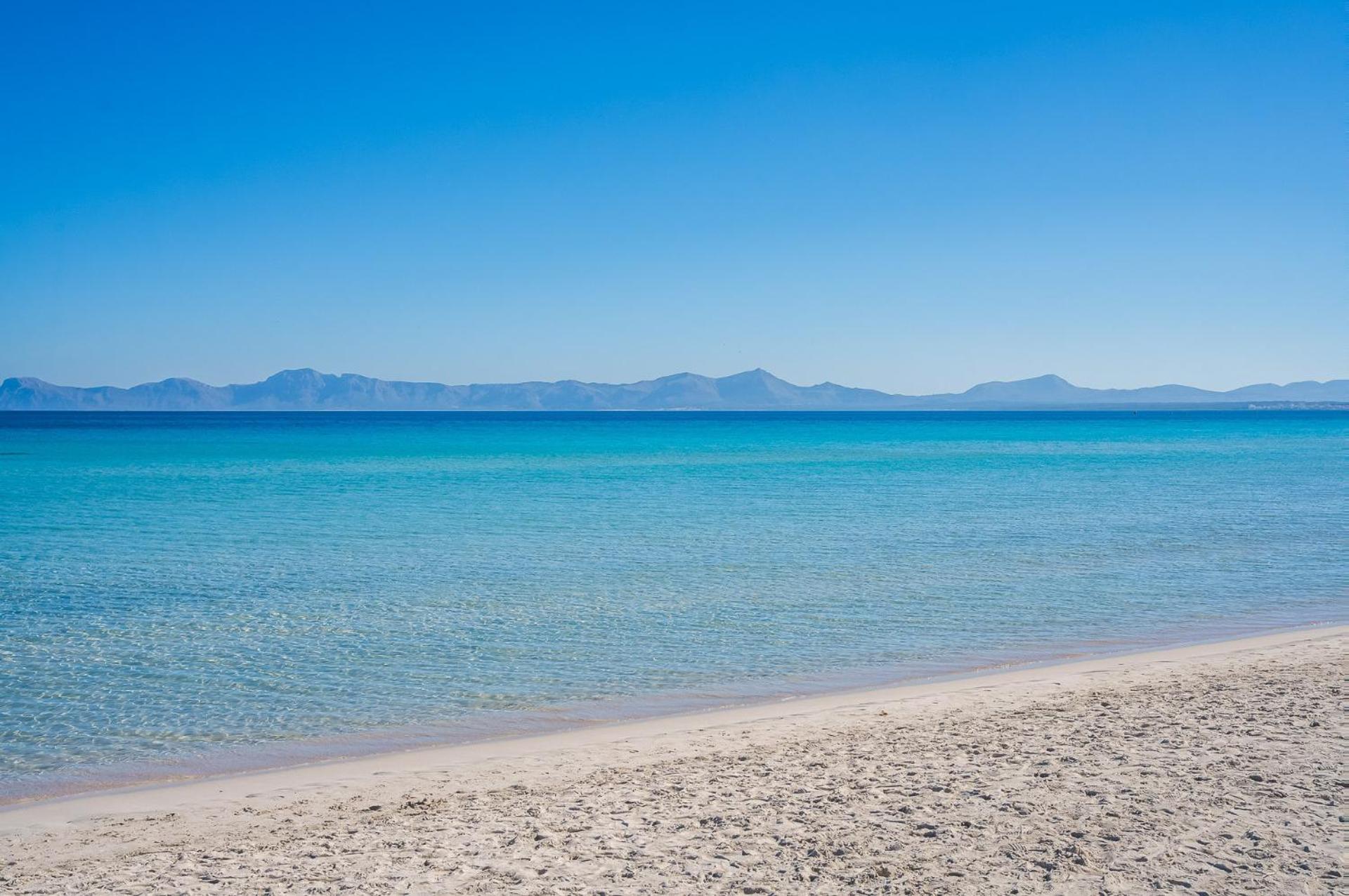 Ideal Mallorca - Blue Palm Apartamento Alcúdia
