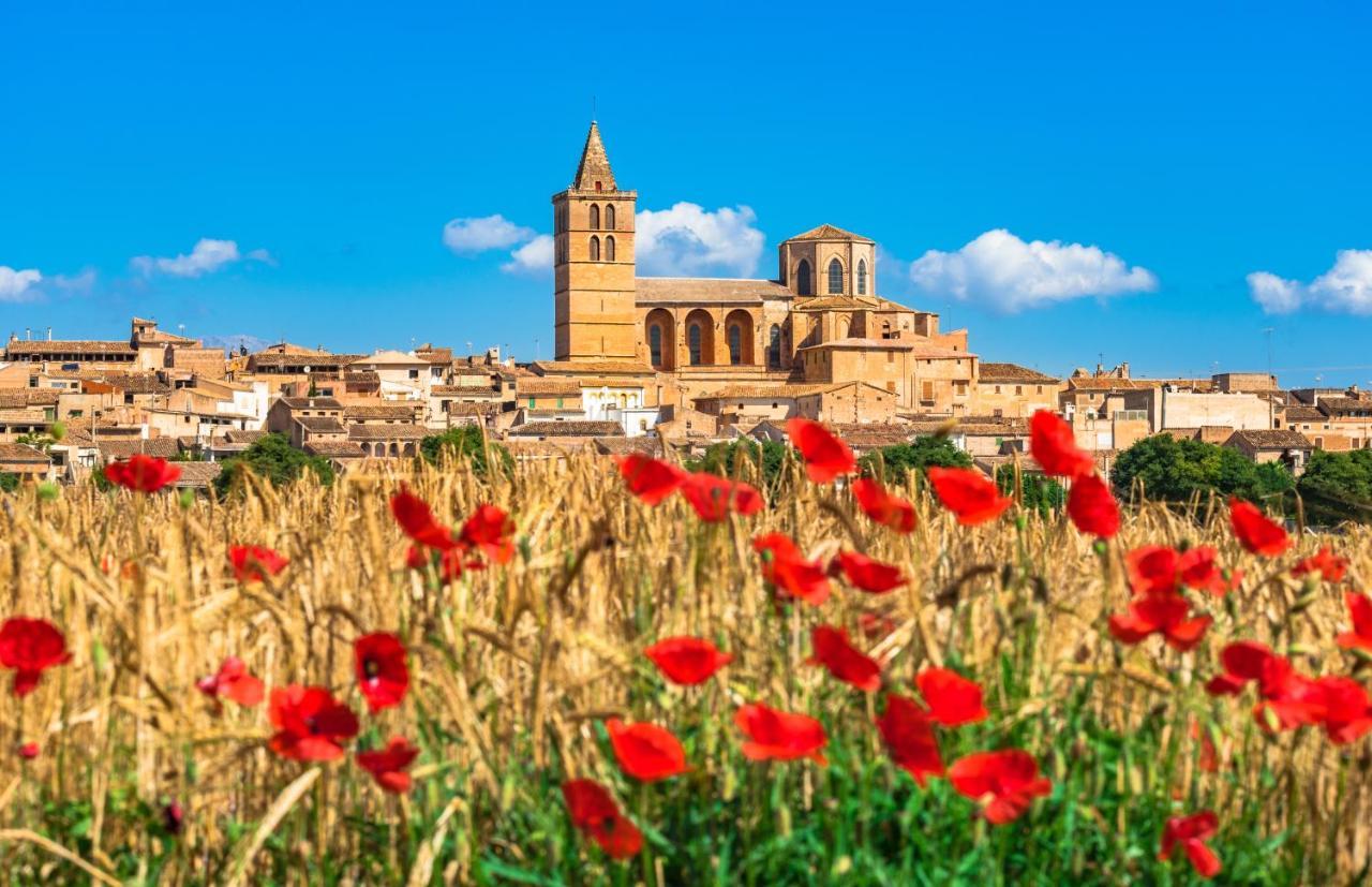 Syrah Alcudia (Mallorca)