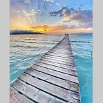Verano Eterno En Mallorca - Alcudia!