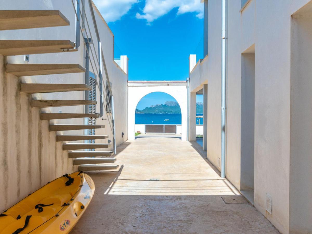 Verd Villa Alcúdia