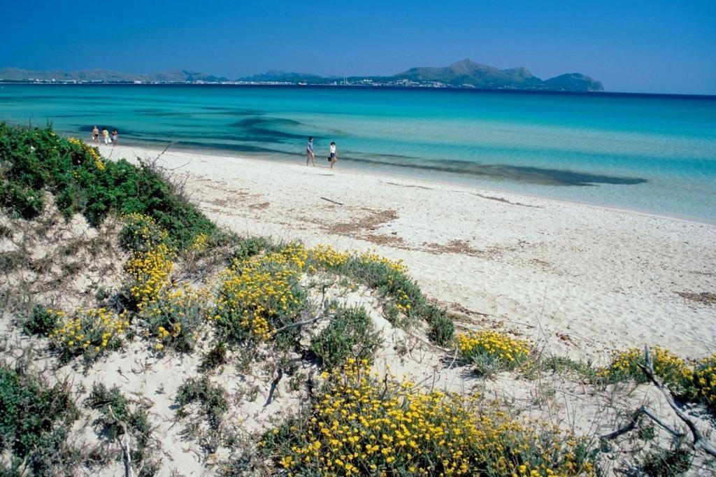 Apartment Al Pujol Alcudia (Mallorca)