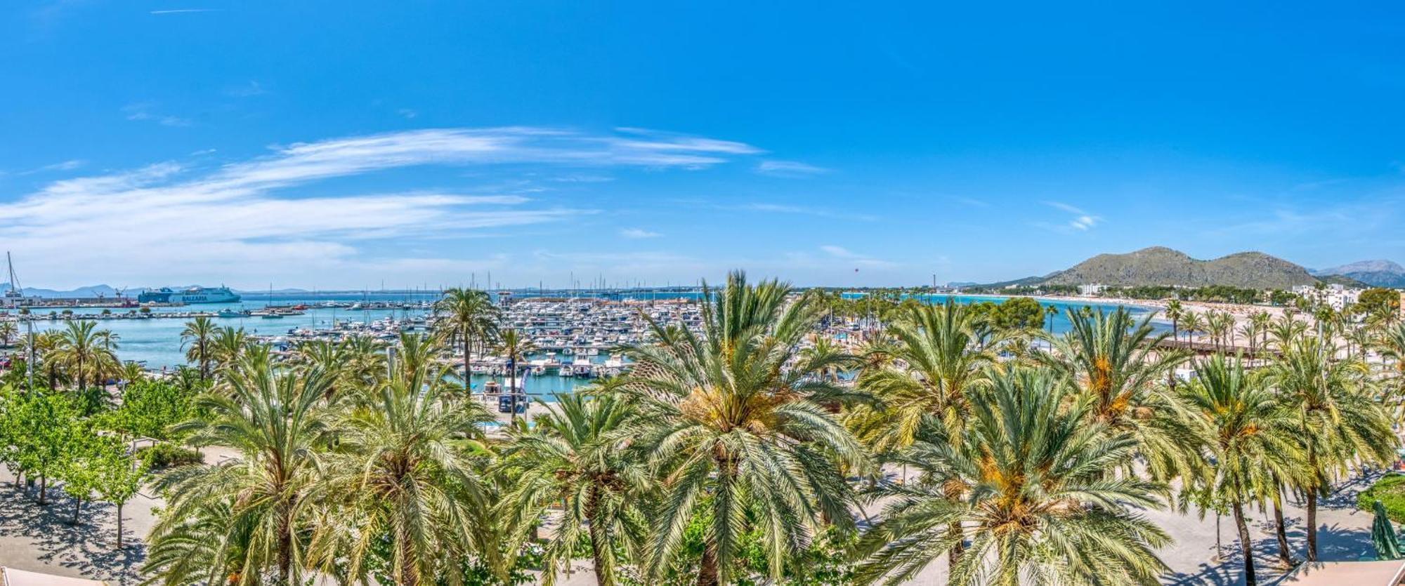 Apartment Blue Palm *
