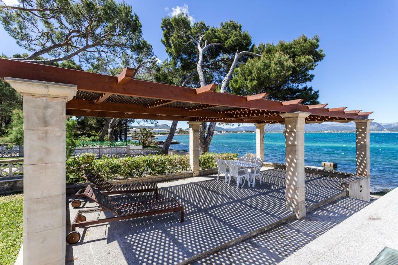Mediterranean Sundance *