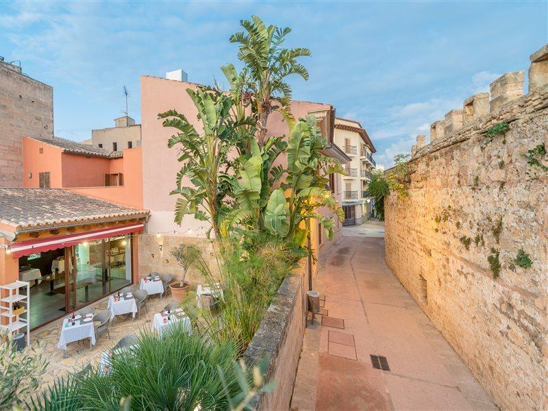 Petit - Turismo De Interior Alcúdia