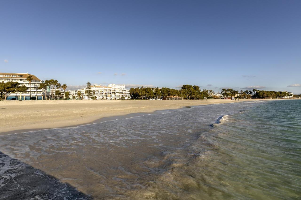 Apartment Beachfront In Cb 3 *