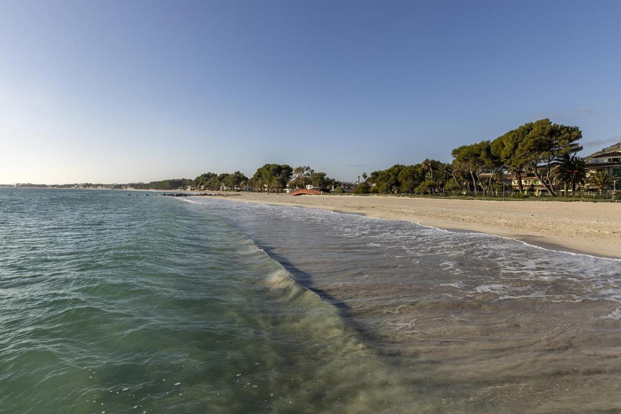 Apartment Beachfront In Cb 3