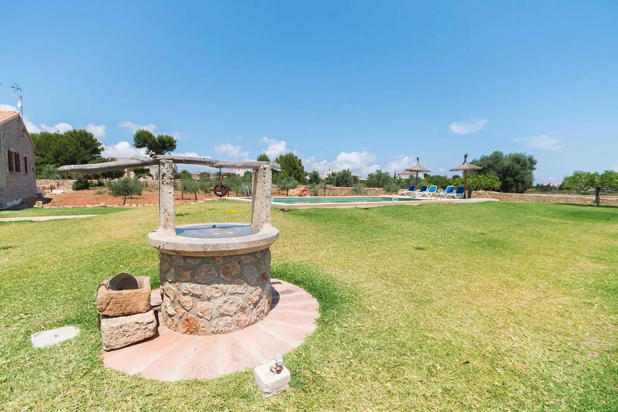 Mosca, Garden And Swimming Pool Close To Pousada Alcúdia