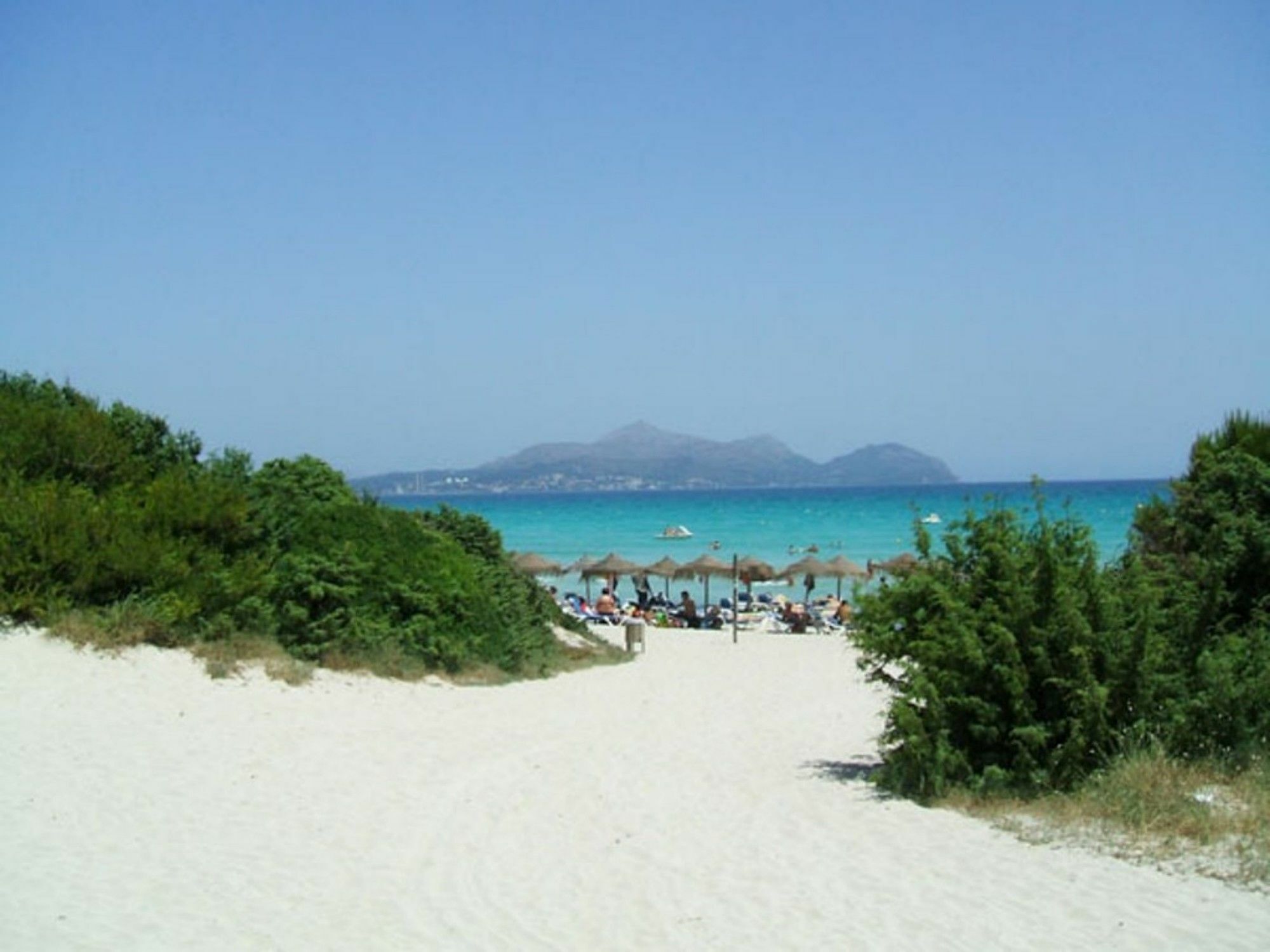 Martin * Alcúdia